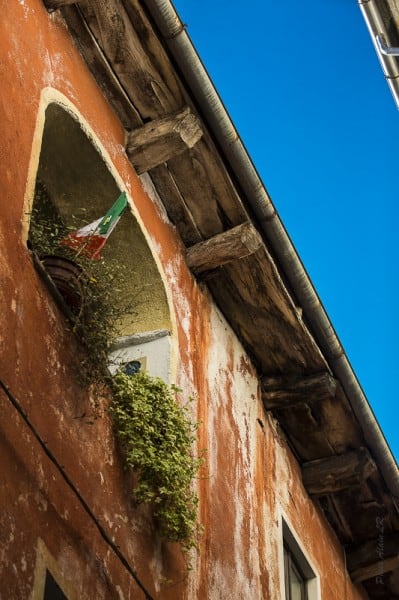 Orta