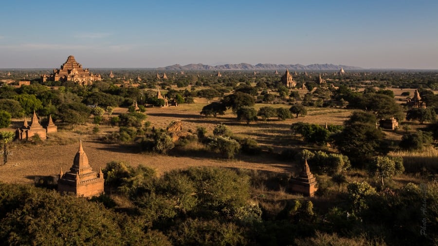 Coucher de soleil sur la plaine de Bagan où domine le Dhammayanggyi Temple