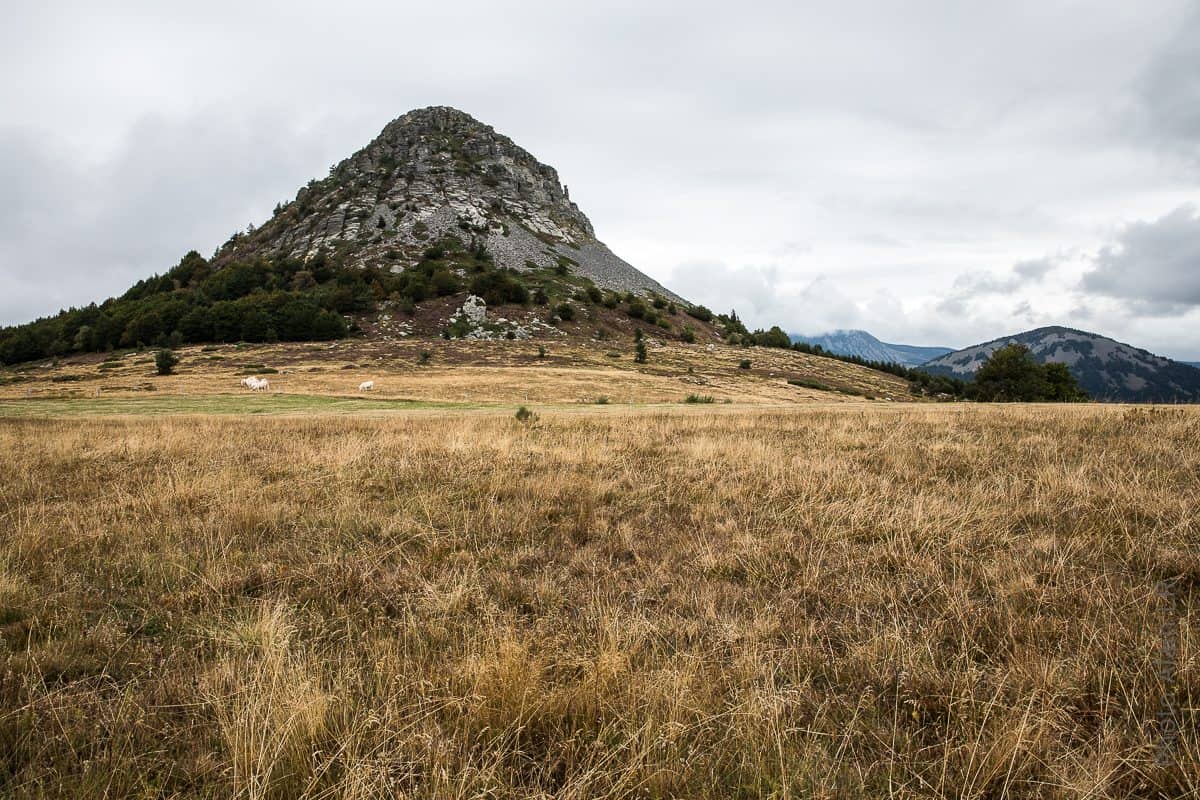 Le mont Gerbier de Jonc est un "suc"
