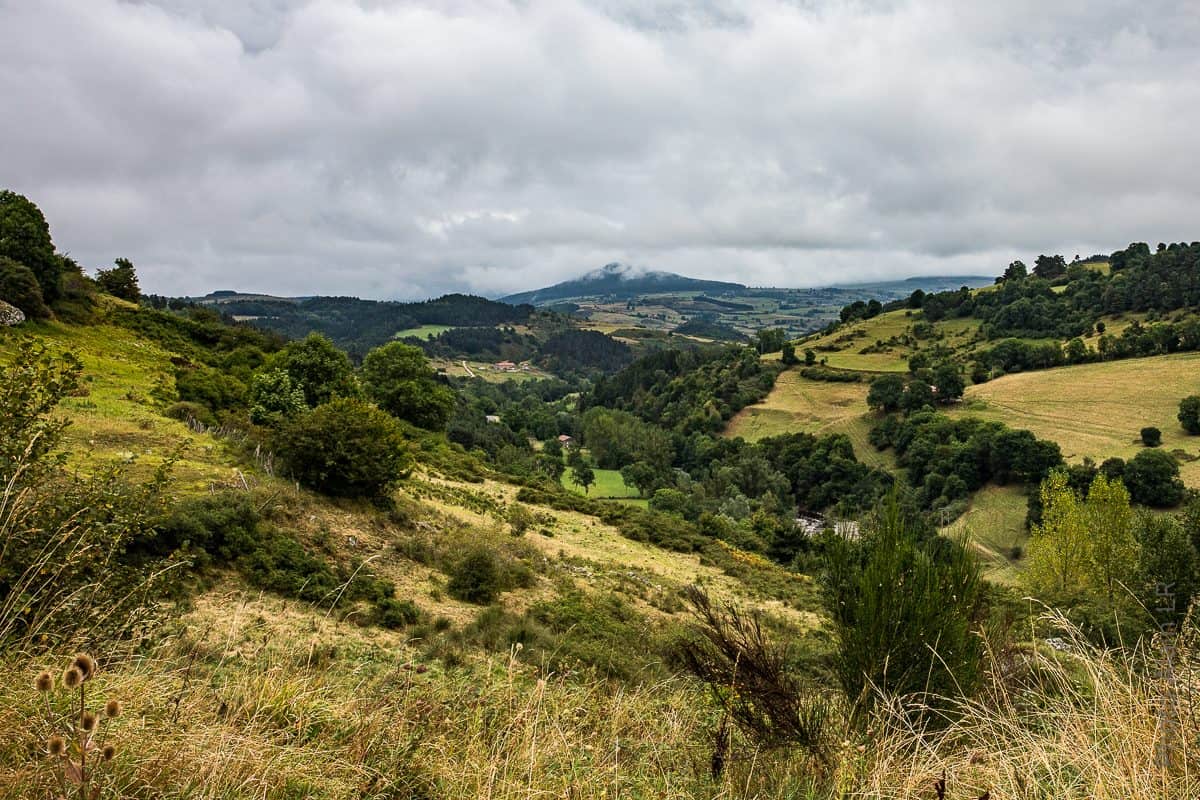 Paysage du Mont Mézenc