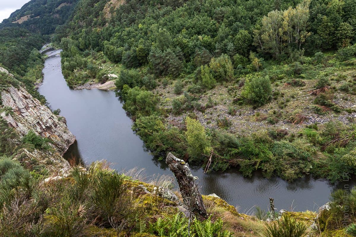 Gorges de la Loire en amont du Cussac