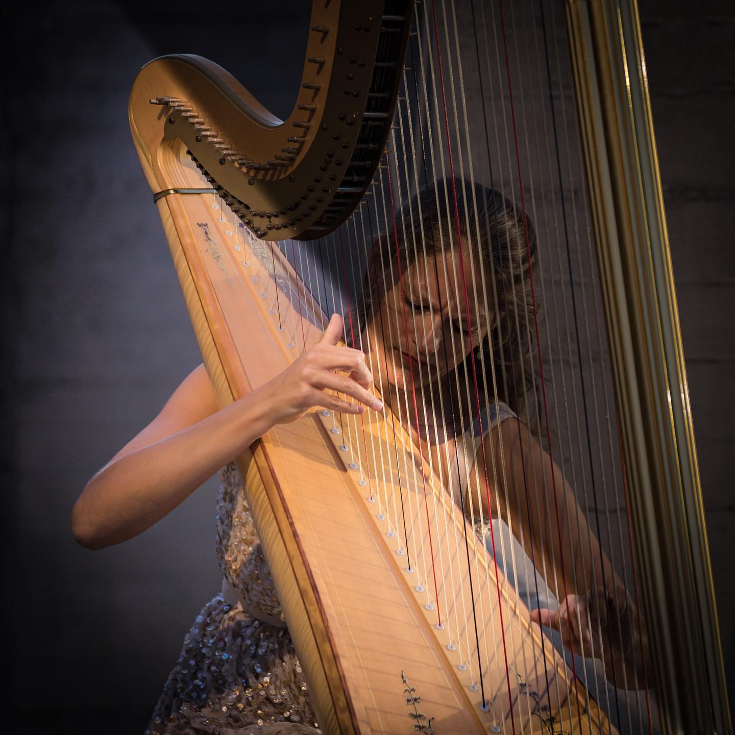 #musique #harpe #harpiste #concert